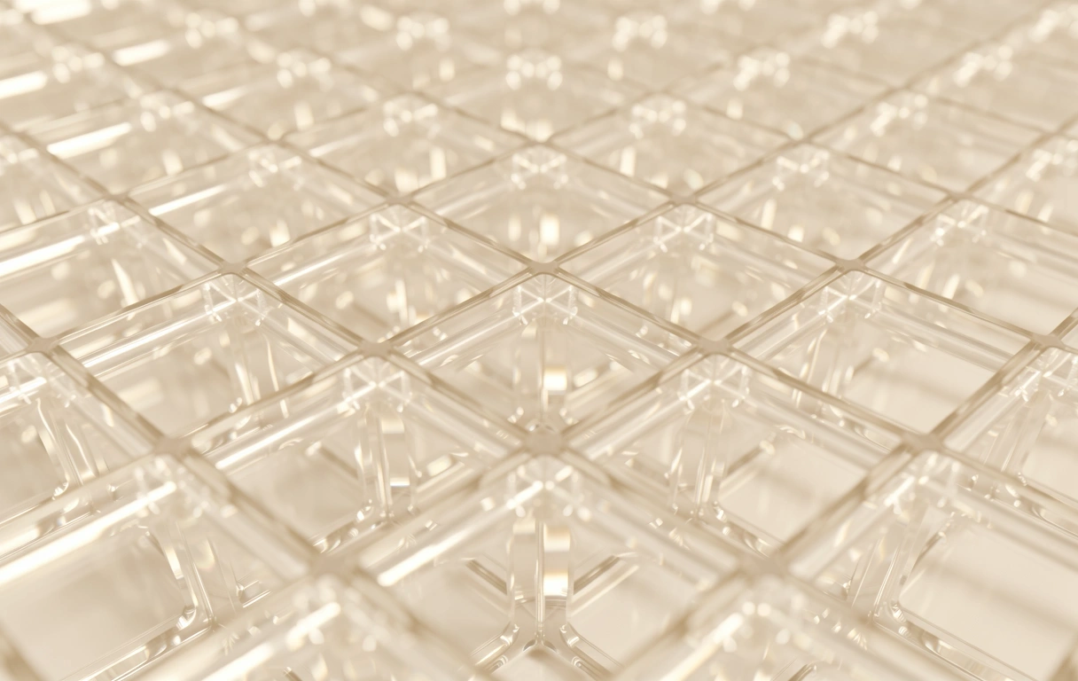 Digital structured transparency